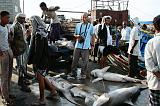 IMG_4161 mercato del pesce Al-Hudayda